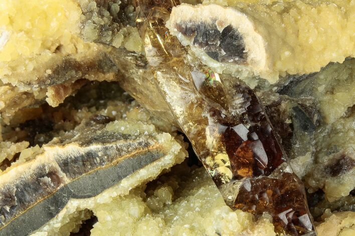Honey Colored Barite Crystals On Fluorescent Calcite - Elk Creek #227766